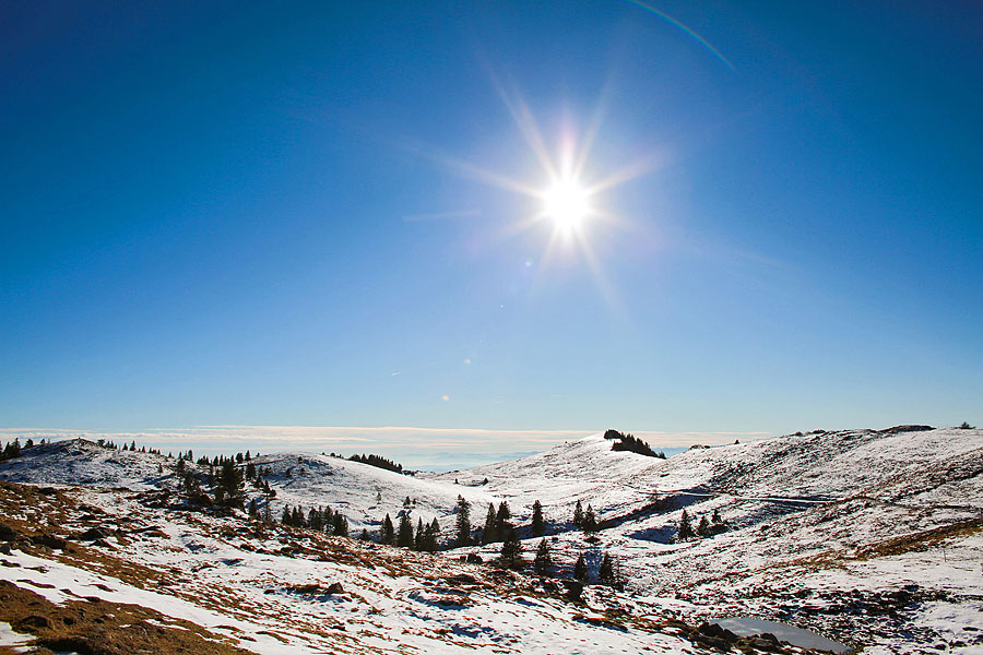 velika_planina_364