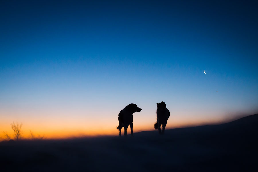 velika_planina_photographer_003