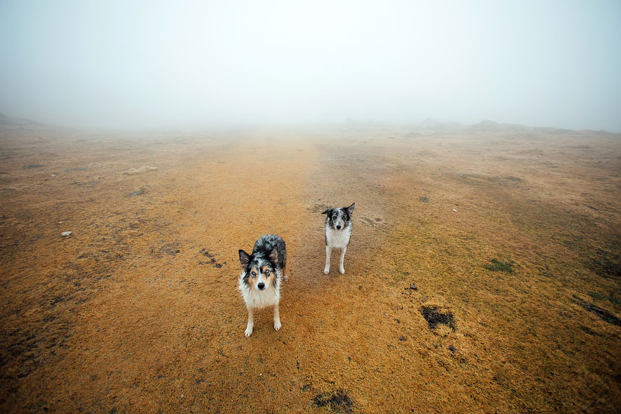 velika_planina_photographer_004